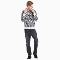新开传奇手游私服发布网全面解析
